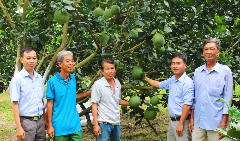 Sản xuất nông nghiệp của xã Tân Long Hội đã có nhiều bước tiến mới về cây trồng, vật nuôi. Người dân áp dụng khoa học- kỹ thuật vào sản xuất, tăng năng suất, chất lượng hàng nông sản. Đến nay, giá trị sản xuất bình quân trên 1ha đất nông nghiệp đạt 150 triệu đồng/năm. Thu nhập bình quân đầu người của xã đạt 53,22 triệu đồng/năm, vượt 220.000đ so quy định xã NTM.