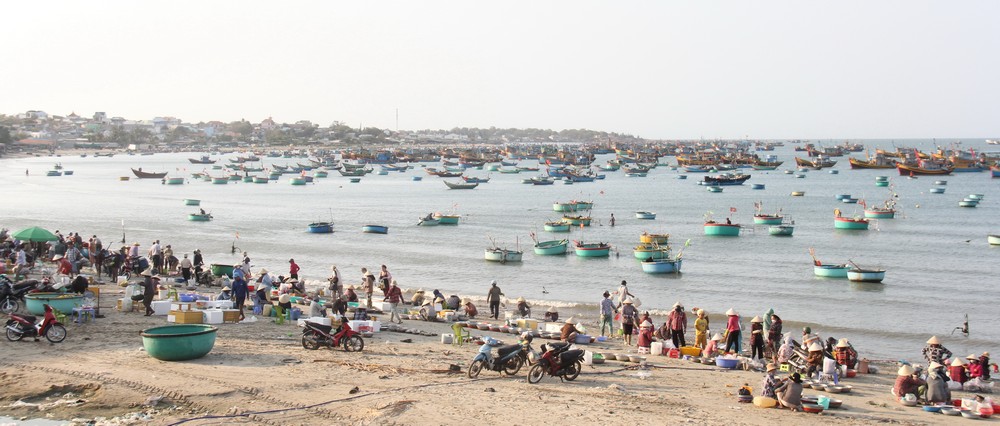 Làng chài nhộn nhịp trên bãi biển trong nắng sớm. 