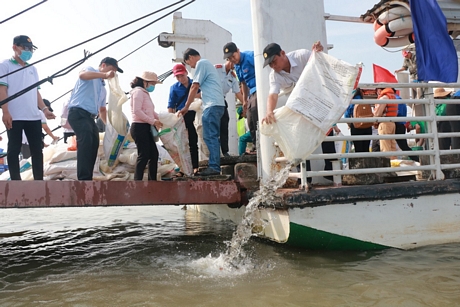 Bảo vệ, tái tạo nguồn lợi thủy sản cần sự chung tay của cả cộng đồng.