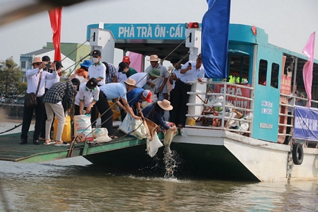 Hoạt động thả cá giống ra môi trường tự nhiên được tổ chức hàng năm nhằm tái tạo nguồn lợi thủy sản.