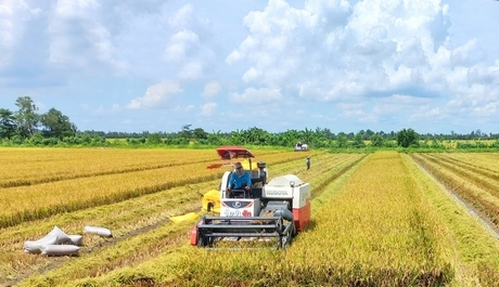 Nhờ chủ trương, chính sách đúng đắn cùng sự chỉ đạo kịp thời của Đảng và Nhà nước, kinh tế tập thể đã có những bước phát triển mạnh mẽ.