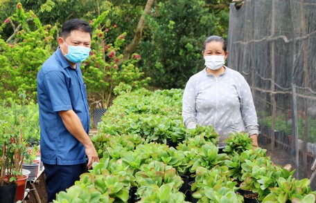 Thu nhập bình quân đầu người của xã Hòa Ninh đã tăng gấp 1,4 lần so năm 2019.