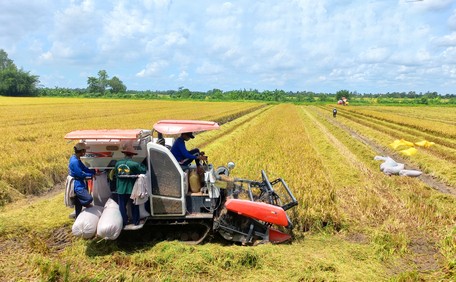 Trong bối cảnh mới, kinh tế tập thể còn gặp nhiều khó khăn và thách thức.