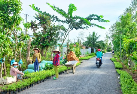 Thời gian tới, kinh tế tập thể, HTX cần mạnh dạn thay đổi, áp dụng những tiến bộ khoa học kỹ thuật vào sản xuất. 