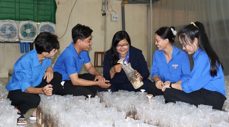 Đoàn viên, thanh niên không ngừng thi đua học tập, lao động, sáng tạo khởi nghiệp, lập nghiệp. Trong ảnh: Sinh viên Trường ĐH Cửu Long với mô hình khởi nghiệp “Nấm nhà mình”.