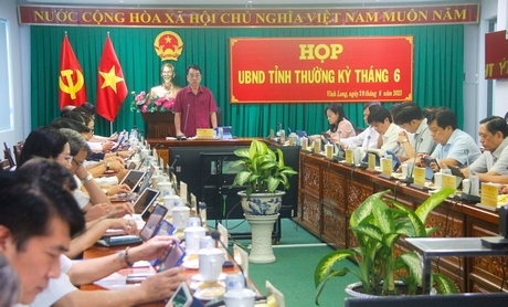 Chủ tịch UBND tỉnh Lữ Quang Ngời phát biểu chỉ đạo tại cuộc họp.