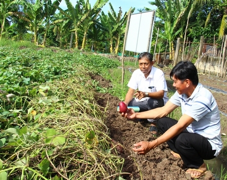 Mô hình đem lại hiệu quả kinh tế, đảm bảo an toàn sức khỏe, môi trường cho nông dân.