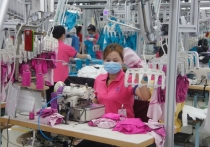 Kim ngạch xuất khẩu giảm do nguồn nguyên liệu thiếu ổn định