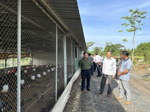 Giám sát tình hình thực hiện Nghị quyết của Tỉnh ủy tại TX Bình Minh