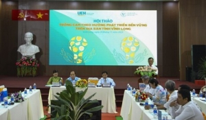 Trồng cam theo hướng phát triển bền vững