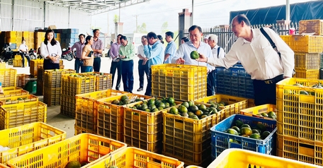 Nhà nước khuyến khích và hỗ trợ cấp mã số vùng trồng để quản lý và kiểm soát chất lượng sản phẩm, kích thích nền nông nghiệp phát triển. 