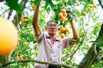 Kỳ cuối: Lan tỏa những giá trị tốt đẹp
